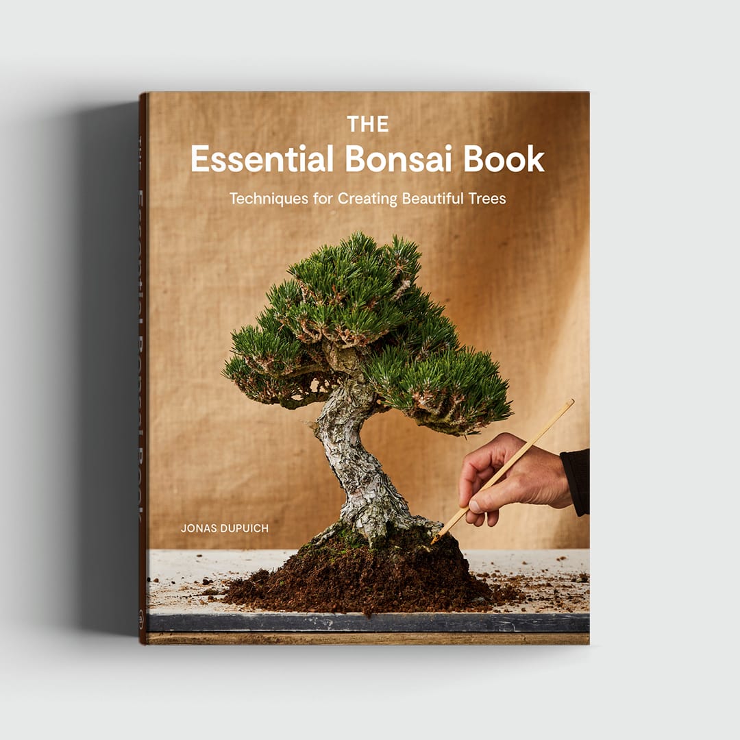 best bonsai tree book for beginners The Essential Bonsai Book : Techniques for Creating Beautiful Trees by Jonas Dupuich