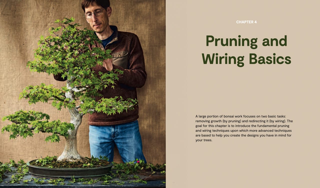 The Essential Bonsai Book