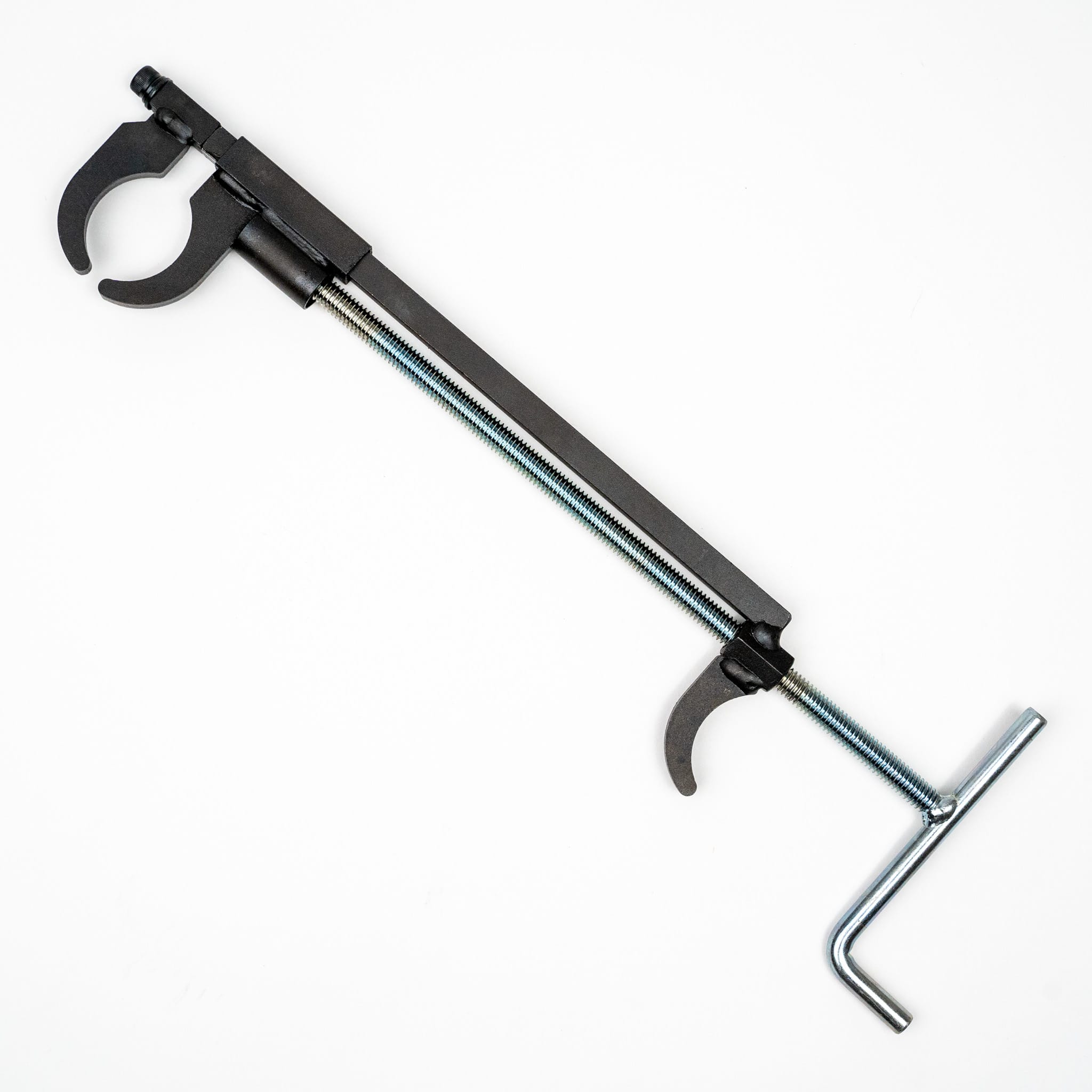 盆栽 jolly Azalea Satsuki 'Chinzan' Bonsai Tree – Bella Bonsai Nursery