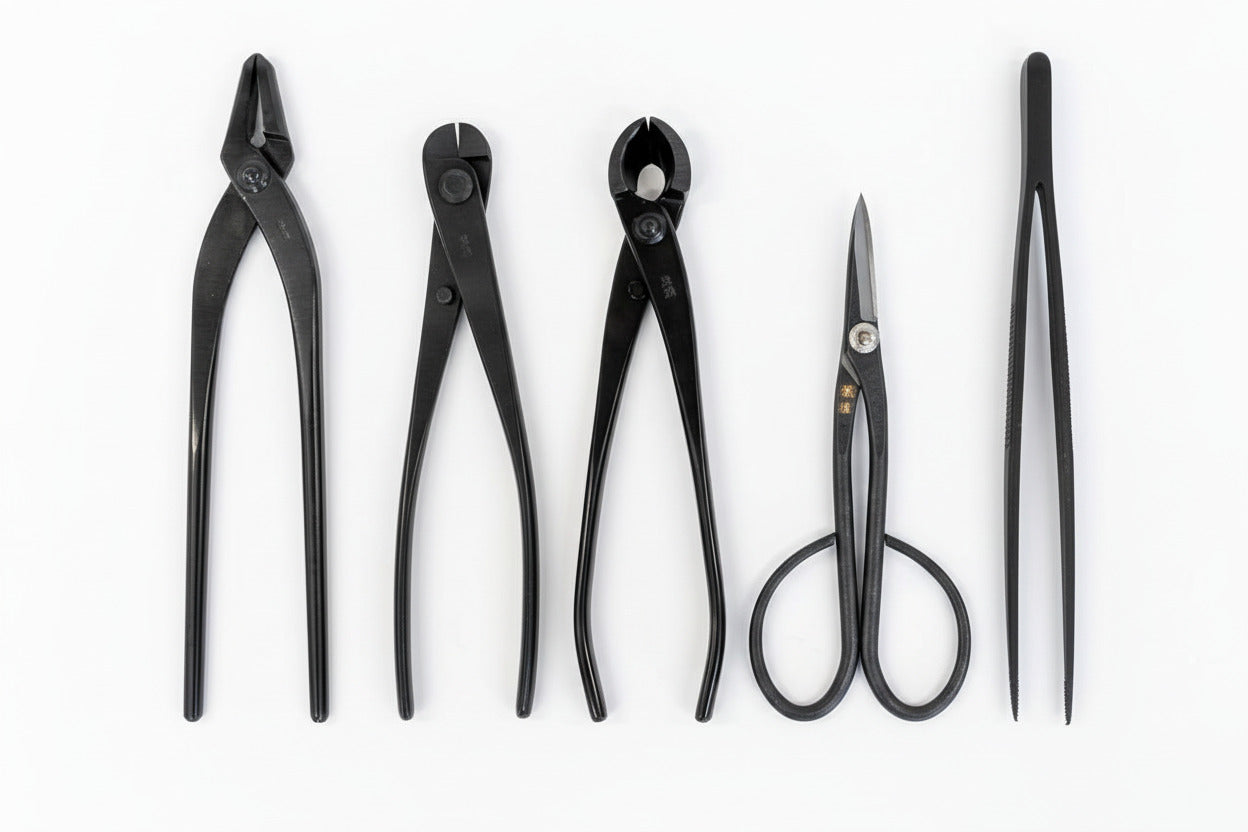 Basic Bonsai Tool Kit – Bonsai Tonight Store