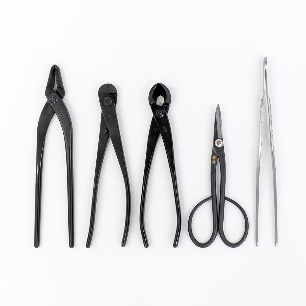 Basic Bonsai Tool Kit