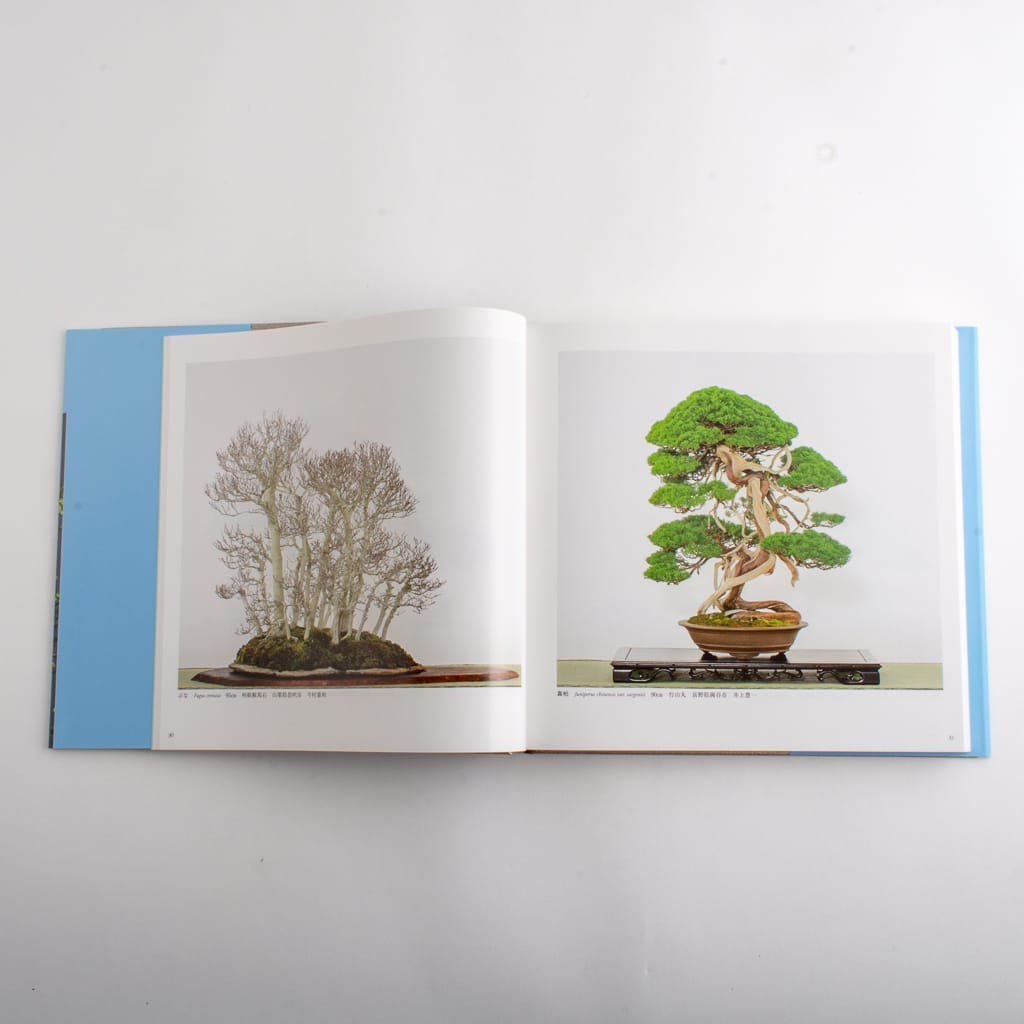 Kokufu-ten Exhibit Books