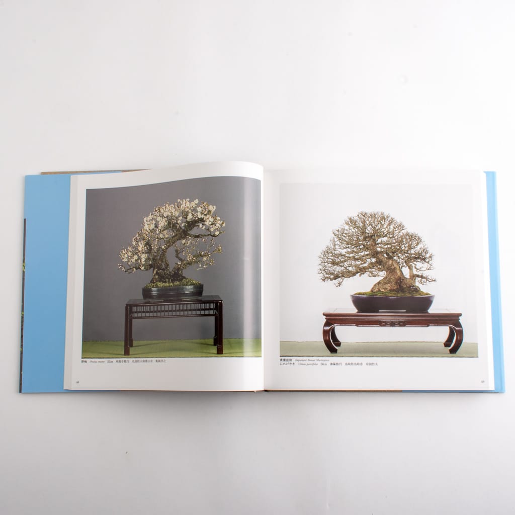 Kokufu-ten Exhibit Books