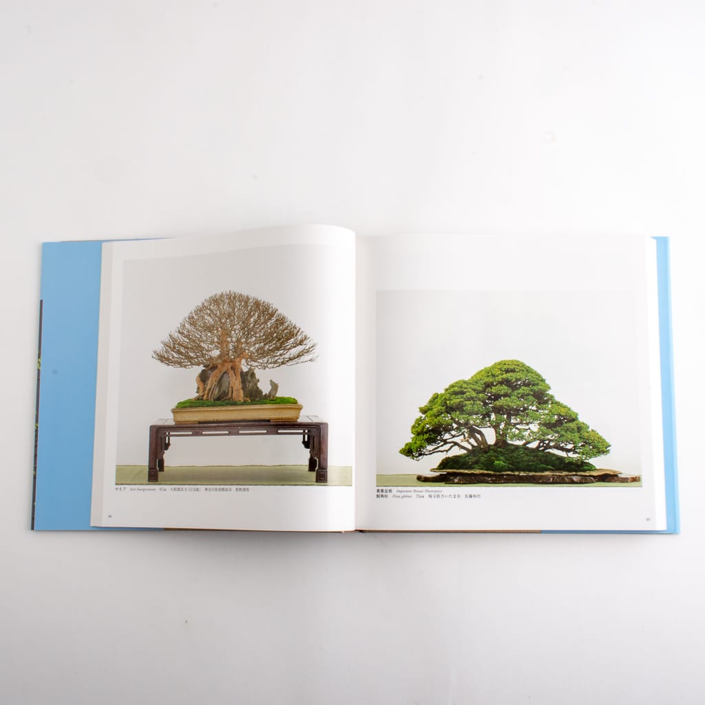 Kokufu-ten Exhibit Books