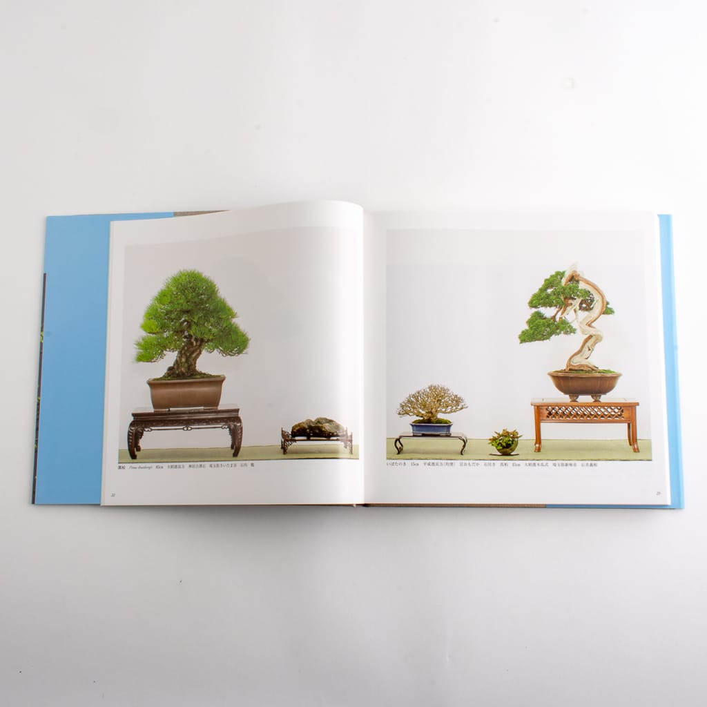 Kokufu-ten Exhibit Books