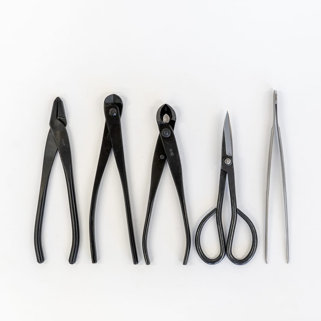 Basic Bonsai Tool Kit