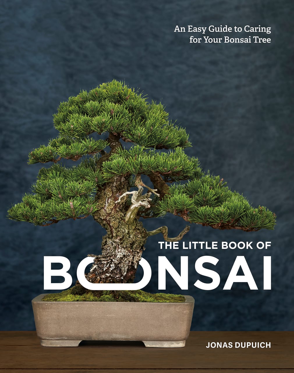 bonsai bücher für anfänger The Little Book of Bonsai – Bonsai Tonight Store