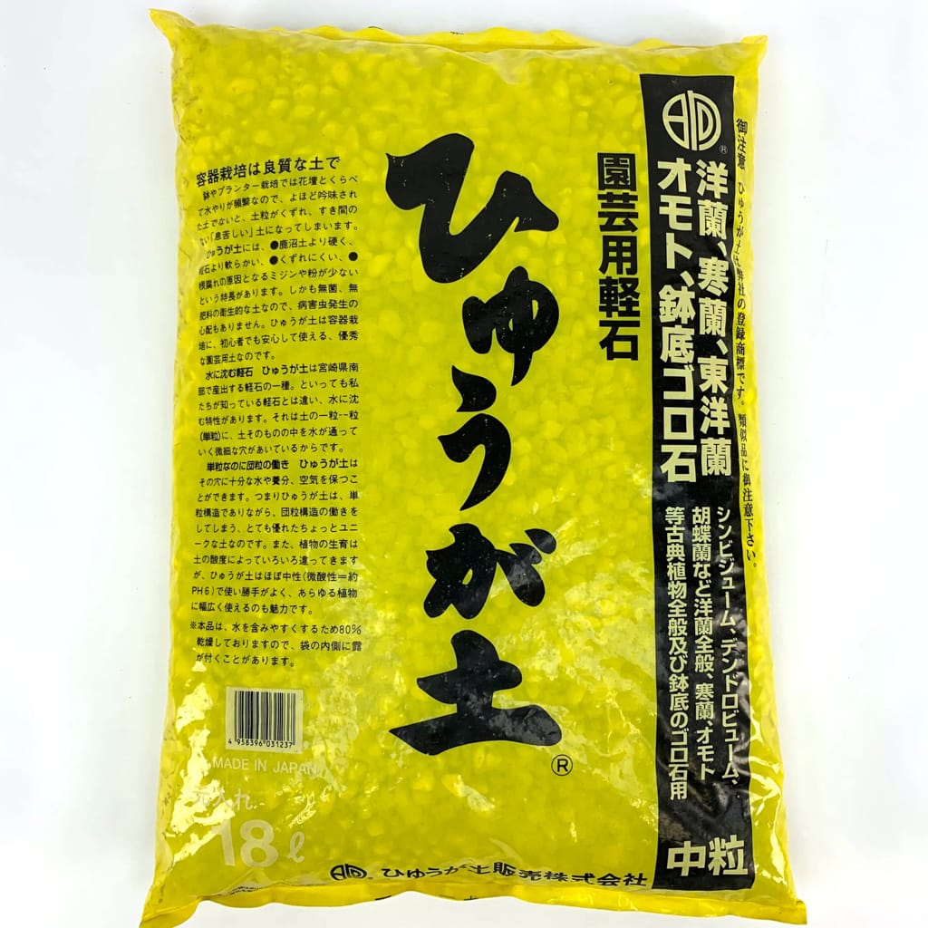 Hyuga (pumice) – Bonsai Tonight Store