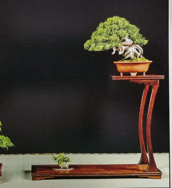 Winter Shohin School