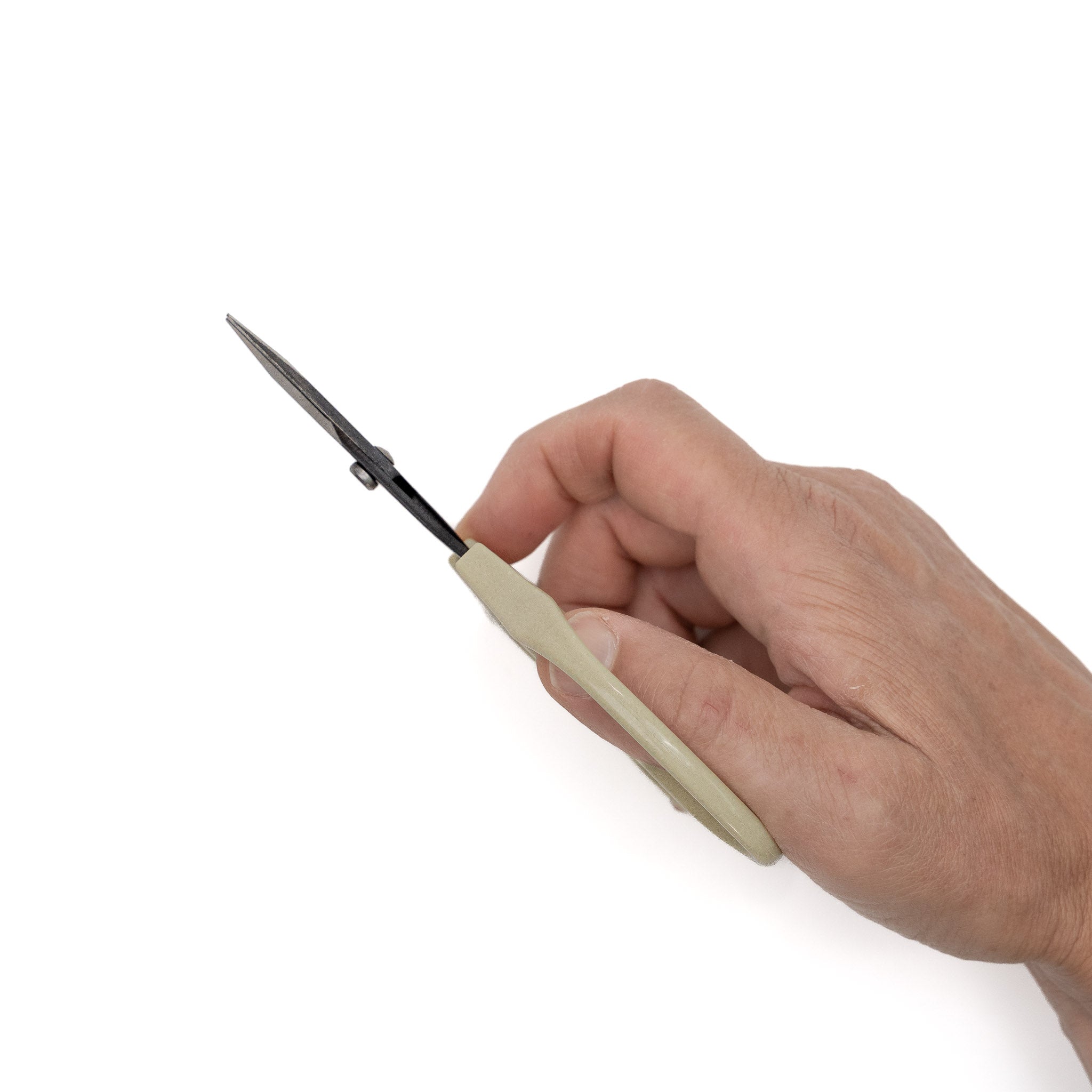 ARS Straight Scissors (320B-T)
