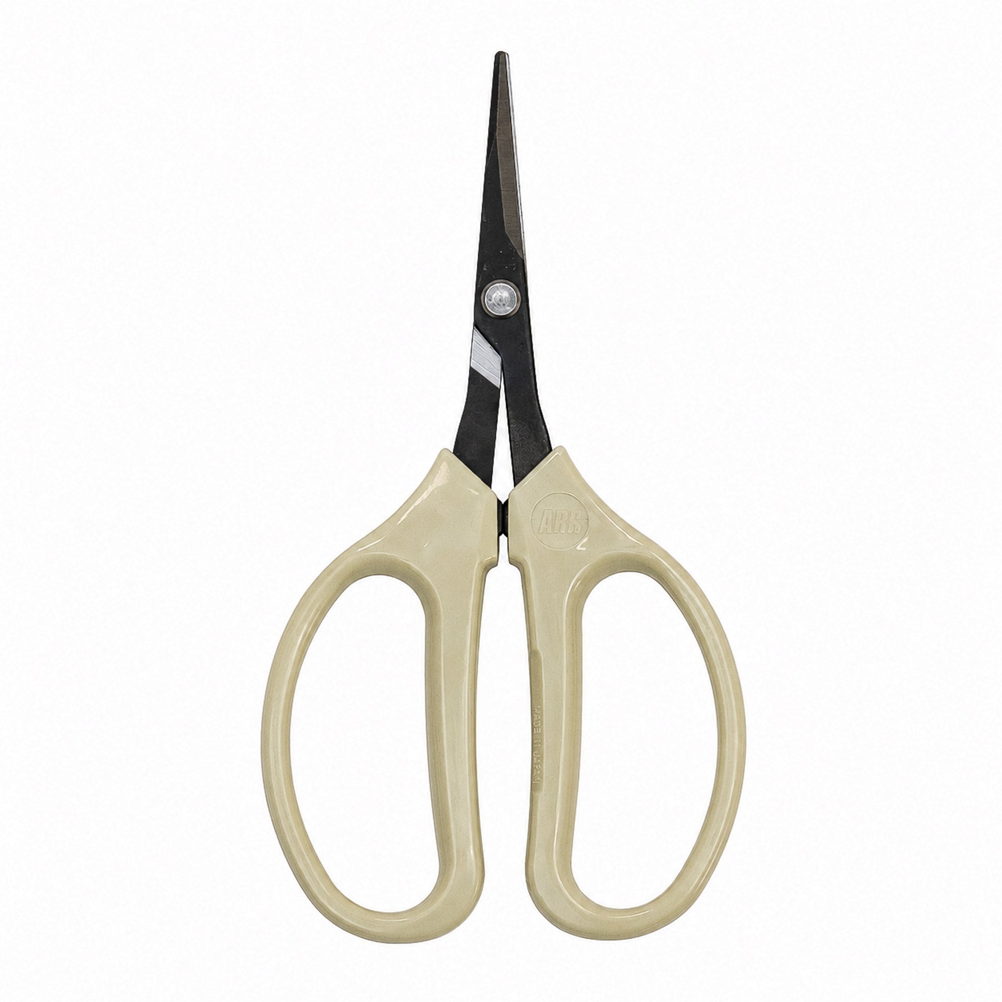 ARS Straight Scissors (320B-T)