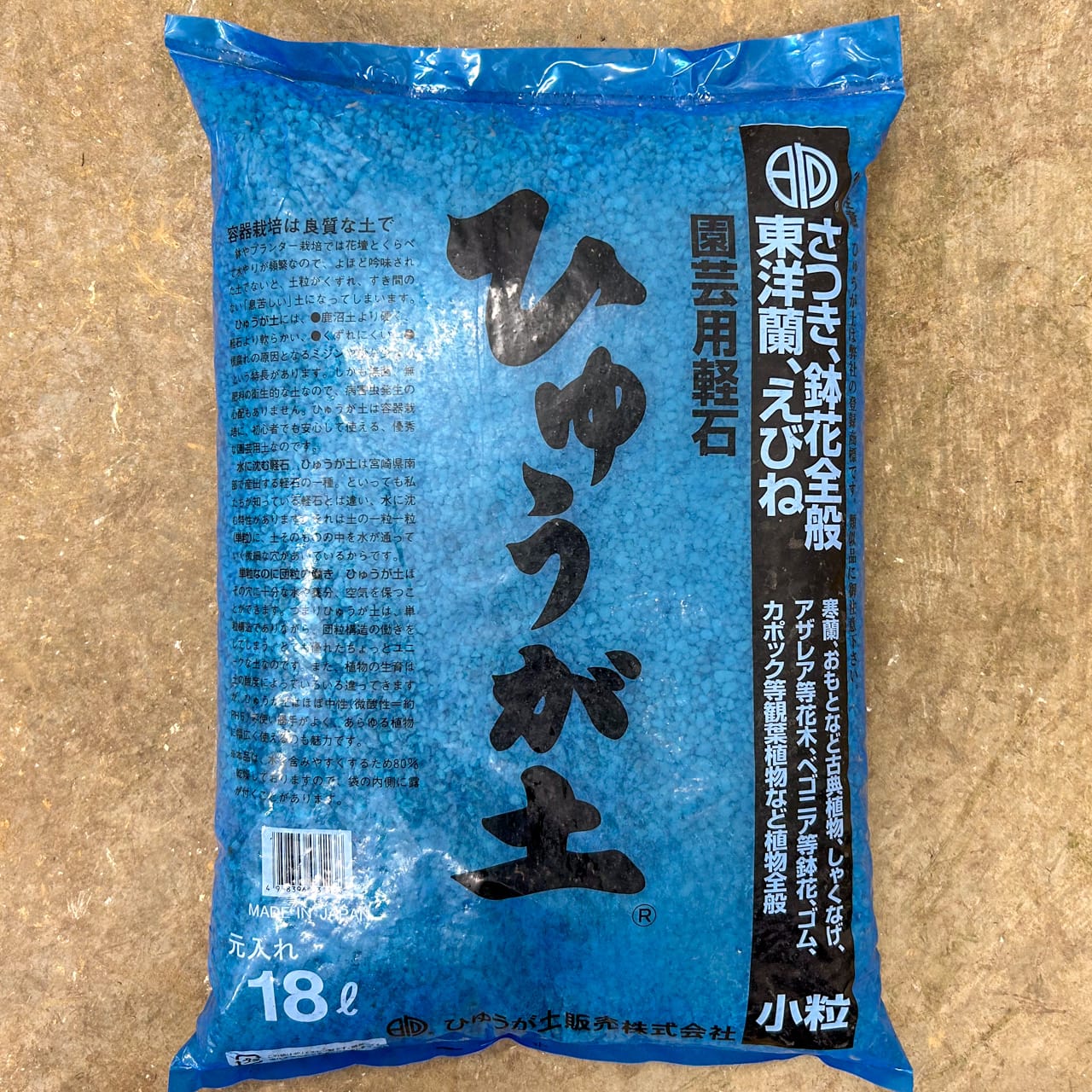 Hyuga (pumice) – Bonsai Tonight Store