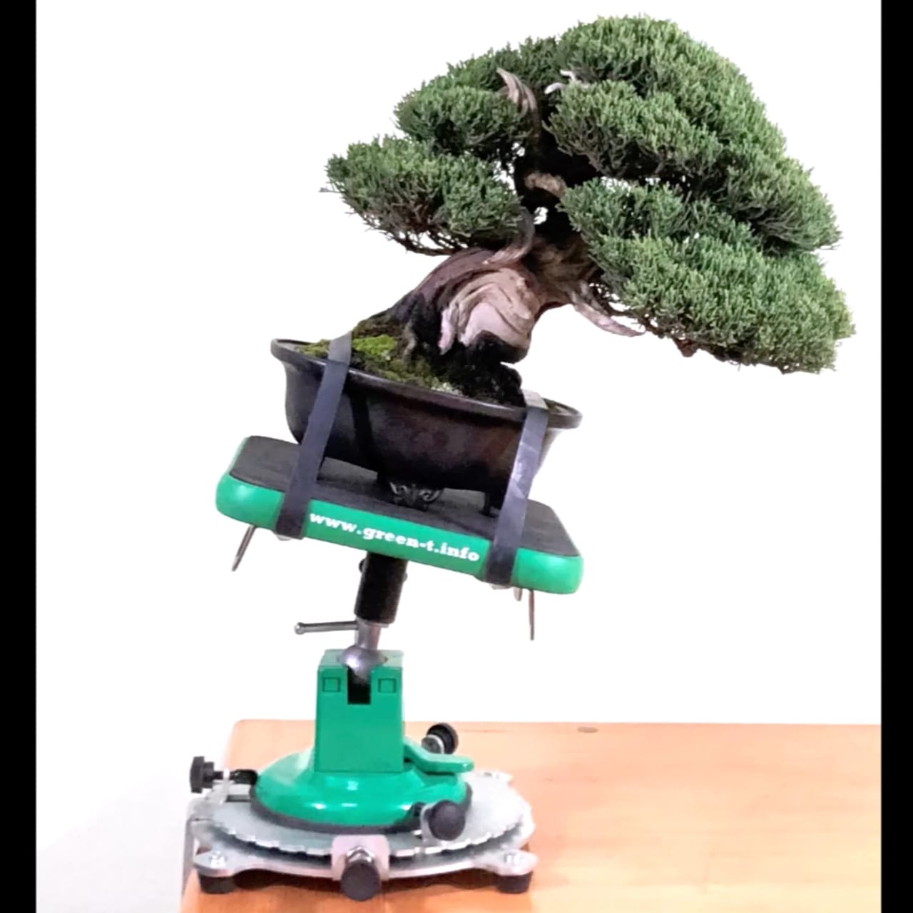 spinning tree bonsai turntables Tavolo professionale da lavoro con ventosa per Bonsai Shohin Green-T
