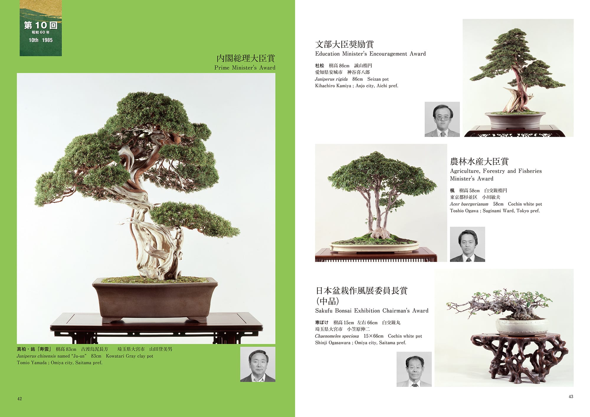 Sakufu-ten 50th Anniversary Commemorative Album – Bonsai Tonight Store