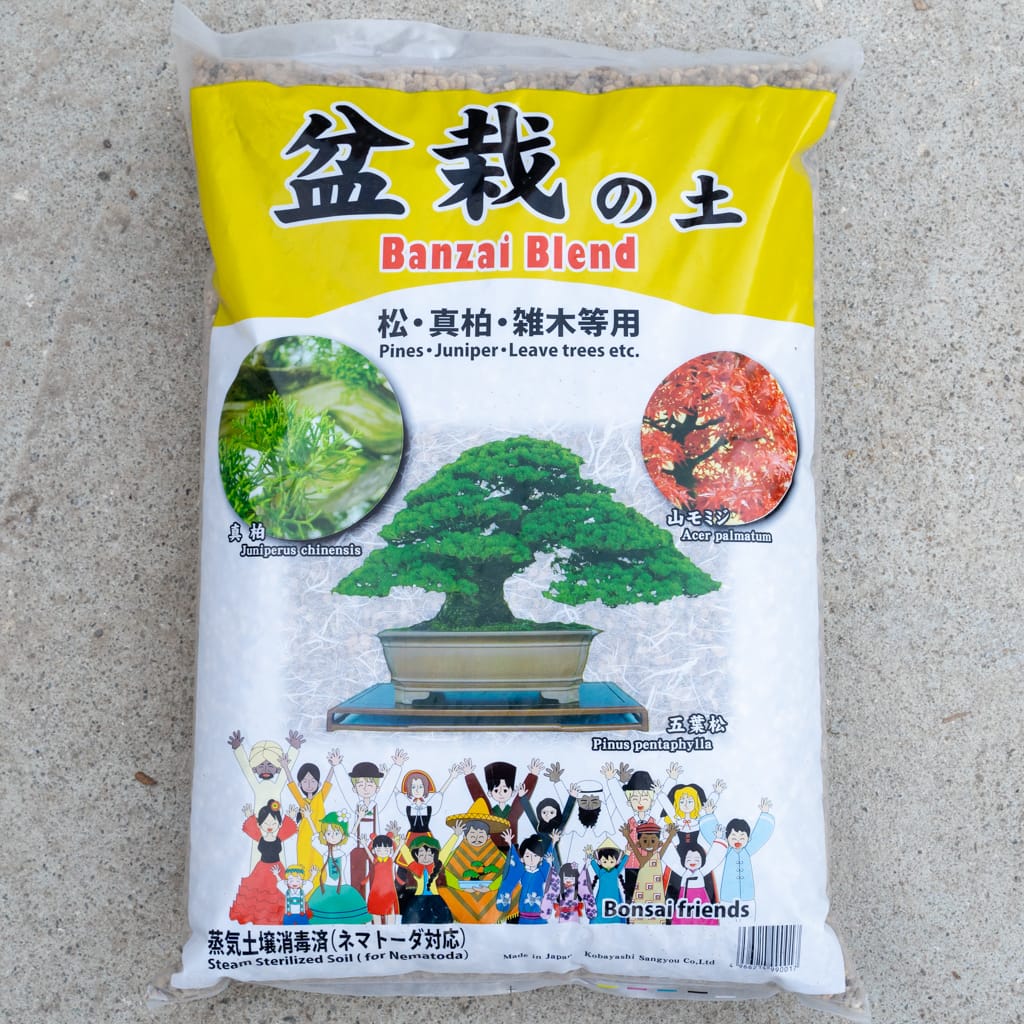 bonsai tree mix Banzai Blend – Bonsai Tonight Store