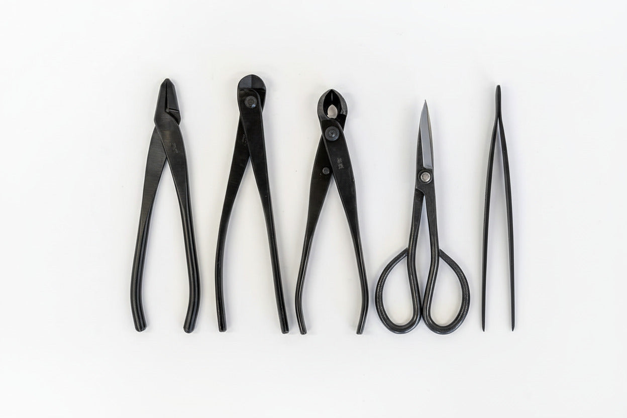 Basic Bonsai Tool Kit