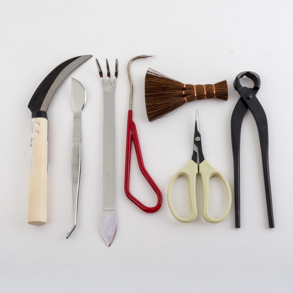 Repotting Bonsai Tool Kit