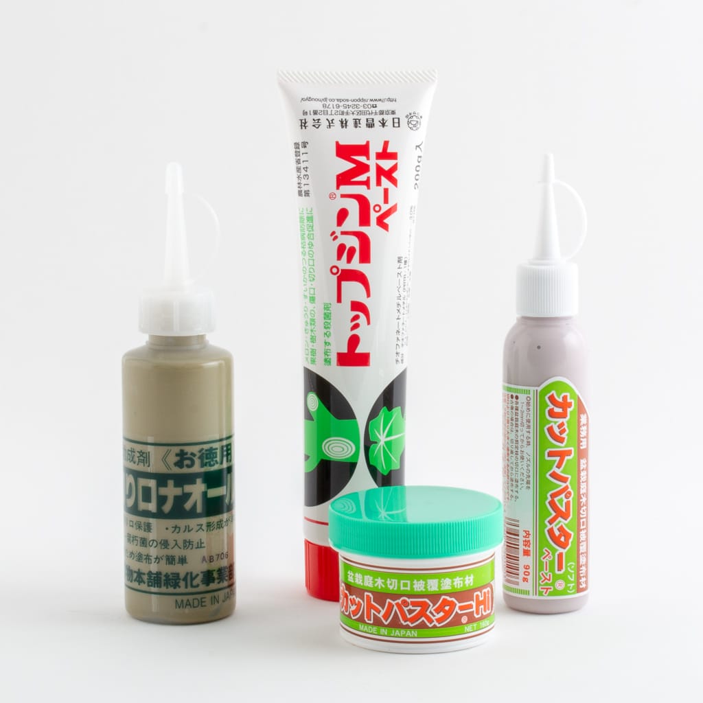 Cut Paste Bonsai Tonight Online Store