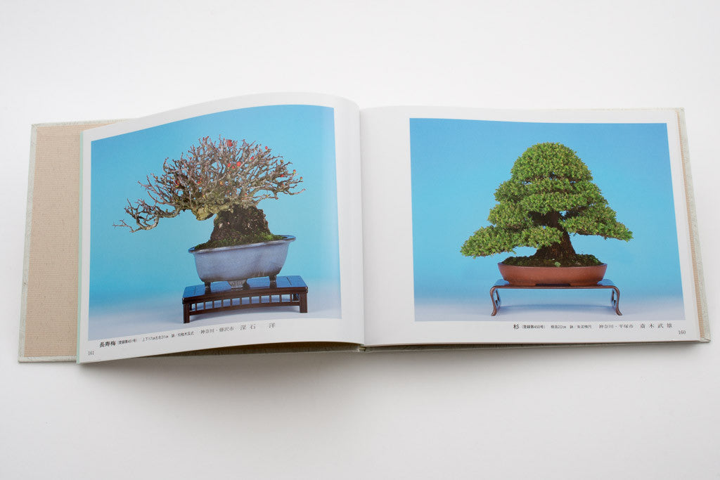 Gafu-ten Exhibit Books – Bonsai Tonight Store